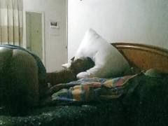 Free Kilo Movies presents: Daddy fuck me